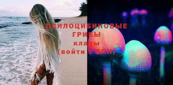 спиды Алексеевка