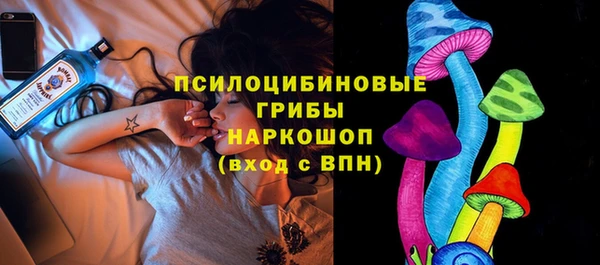 спиды Алексеевка
