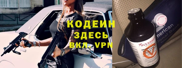 прущие грибы Алзамай