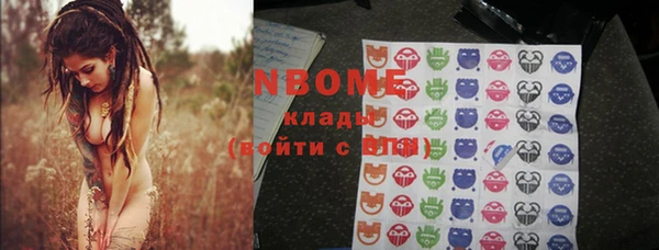 прущие грибы Алзамай