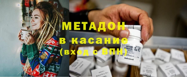 прущие грибы Алзамай